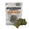 Space Buds Moon Rocks – Orange Zkittles 4G